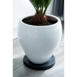 Nature Planttrolley Antraciet 39 Cm Rond 7 Nature Planttrolley Antraciet 39 Cm Rond -Deoosteindeonline Winkel nature planttrolley antraciet 39 cm rond 1611764637 2 l