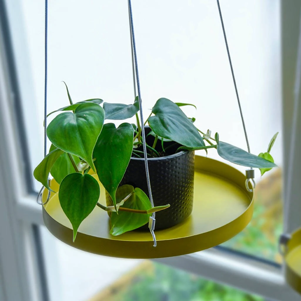 ESSCHERT DESIGN Plantenplateau Hanger D24 Cm Goud 4 ESSCHERT DESIGN Plantenplateau Hanger D24 Cm Goud - Afbeelding 2