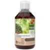 Pokon Bio Bladinsecten 500 Ml -Deoosteindeonline Winkel pokon bio bladinsecten 500 ml 1612267166 l