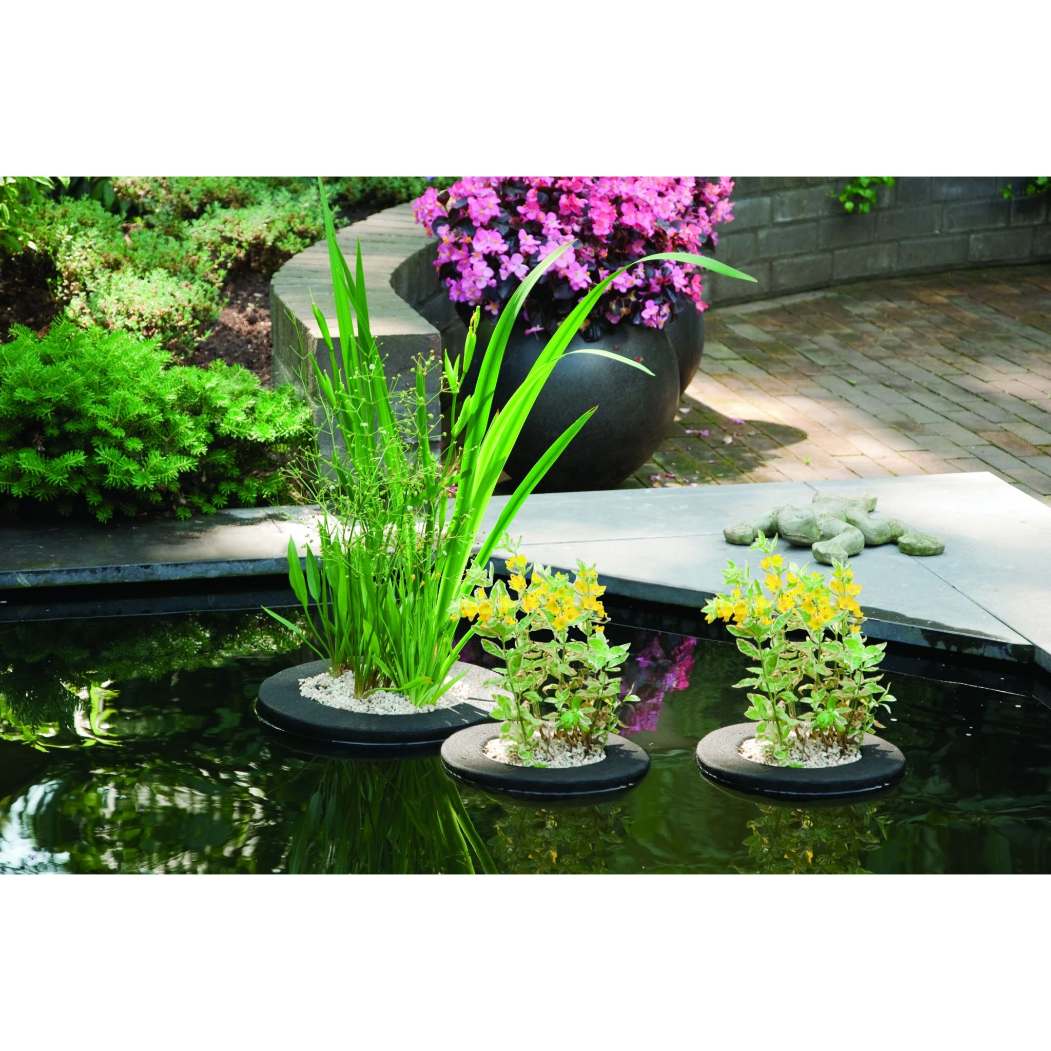 Velda Floating Plant Island Vierkant 25 Cm 4 Velda Floating Plant Island Vierkant 25 Cm - Afbeelding 2