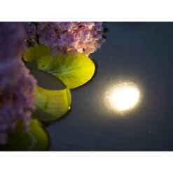 Ubbink Aqualight 60 Led Onderwaterverlicht -Deoosteindeonline Winkel ubbink aqualight 60 led onderwaterverlicht 1 l