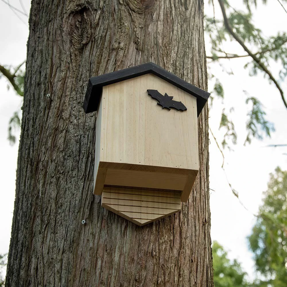 Vleermuizenkast Arundel 4 Vleermuizenkast Arundel - Afbeelding 2