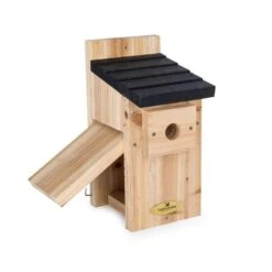 Vogelbescherming Nestkast Kolding -Deoosteindeonline Winkel vogelbescherming nestkast kolding 1024x1024 635ba6c70c574 l