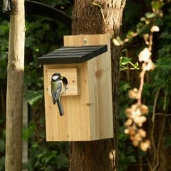Vogelbescherming Nestkast Kolding -Deoosteindeonline Winkel vogelbescherming nestkast kolding 1024x1024 635ba6c70cc83 l