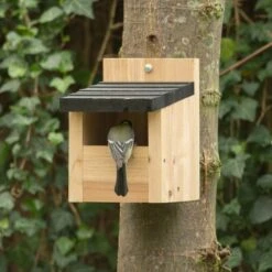 Vogelbescherming Nestkast Viborg 9 Vogelbescherming Nestkast Viborg -Deoosteindeonline Winkel vogelbescherming nestkast viborg 1024x1024 635ba39a3499f l